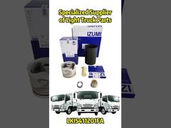 OEM Repalcement-onderdeel voor ISUZU / Mitsubishi / HINO / JAC / NISSAN / TOYOTA