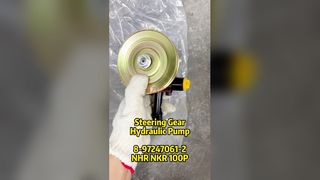 Truck OEM Parts Prower Steering Pump 8-97247061-0 8972470610 voor ISUZU NKR 100P 600P